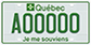 Example of a green licence plate for an electric bus, bearing the number A00000
