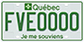Example of a green licence plate for an electric commercial vehicle with a net weight of 3,000 kg or less, bearing the number FVE0000
