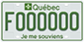 Example of a green licence plate for an electric commercial or special use vehicle, bearing the number F000000