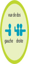 Illustration des mouvements de signalement d'intentions