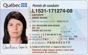 Example of an old driver's licence with a color photo
