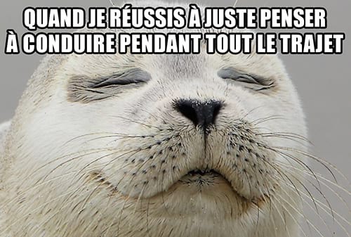 Phoque les yeux fermés et souriant sur laquelle est apposé le super « Quand je réussis à juste penser à conduire pendant tout le trajet ».