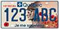 Example of a plate issued for a vehicle belonging to a veteran, bearing number 123 ABC and the image of poppies, the faces of two soldiers and the word “vétérans”