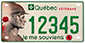 Example of a plate issued for an electric motorcycle belonging to a veteran, bearing number 12345 with green lettering, and the image of poppies, the faces of two soldiers and the word “vétérans”