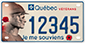 Example of a plate issued for a motorcycle belonging to a veteran, bearing number 12345 and the image of poppies, the faces of two soldiers and the word “vétérans”