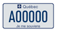 Example of a licence plate for a private or public bus or minibus, or a bus or minibus used to transport school children, bearing number A00000