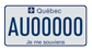 Example of a licence plate for a private or public bus or minibus, or a bus or minibus used to transport school children, bearing number AU00000