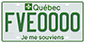 Exemple d'une plaque avec lettrage vert pour un véhicule commercial électrique d'une masse nette de 3 000 kg ou moins, portant le numéro FVE0000