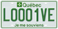 Example of a green licence plate for an electric truck, combination of road vehicles or farm vehicle weighing more than 3,000 kg, bearing the number L0001VE