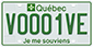 Example of a green licence plate for an electric off-road vehicle, bearing the number V0001VE