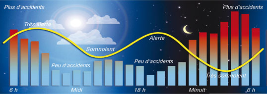 L'horloge interne, aussi appelée horloge biologique ou cycle circadien, suit un cycle qui se répète environ toutes les 24 heures. Les points creux du cycle de l'horloge interne se situent entre minuit et 6 h et, d'une façon un peu moins marquée, entre 13 h et 15 h.